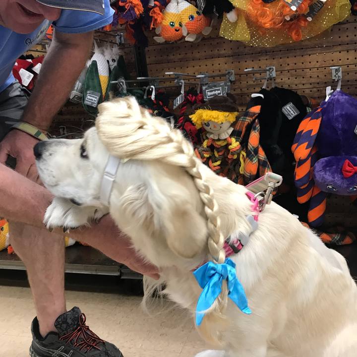 7f76eff5 3e6e 4d09 9c86 f55c08ff600a 1508121580493