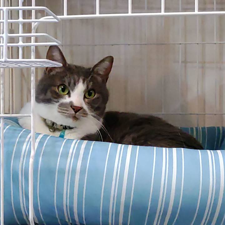 7f770c3a d0fc 4941 b76b 1a090bf78adf 1708857906549