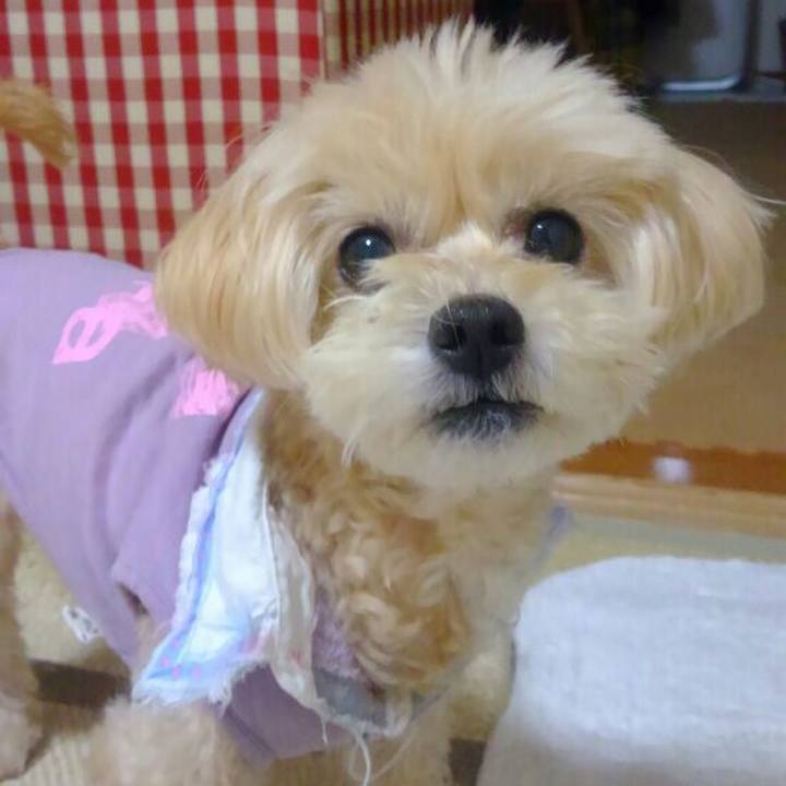 7f7743c5 3fee 47f8 b783 8d0200a42e81 1524487771687