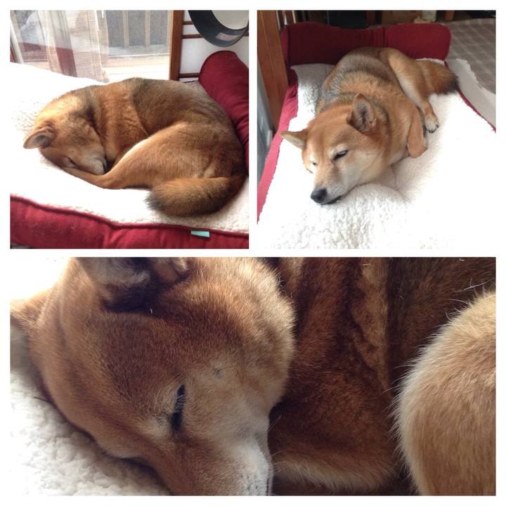 7f774fb4 7c09 4326 aba3 56411e912f17 1519713396361