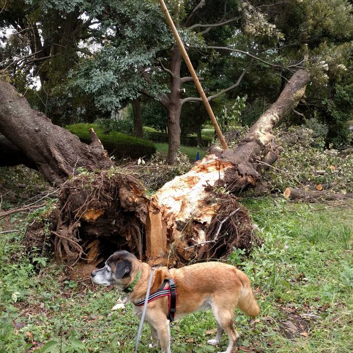 7f779d5b cc5c 4f9d b919 70d1c98829b8 1538611484264