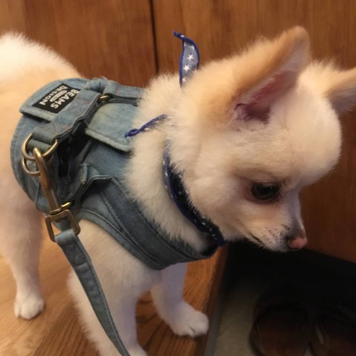 7f779ef0 5e82 4643 8454 8672297c1ca5 1569408057538