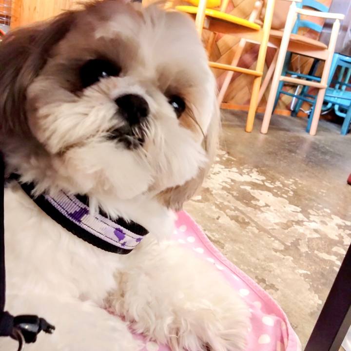 7f77a023 6e69 423e bc26 43189a683cfa 1679922699687