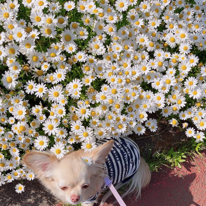 7f77dbb0 1a27 45d9 ba80 373fecb334f1 1651659666580