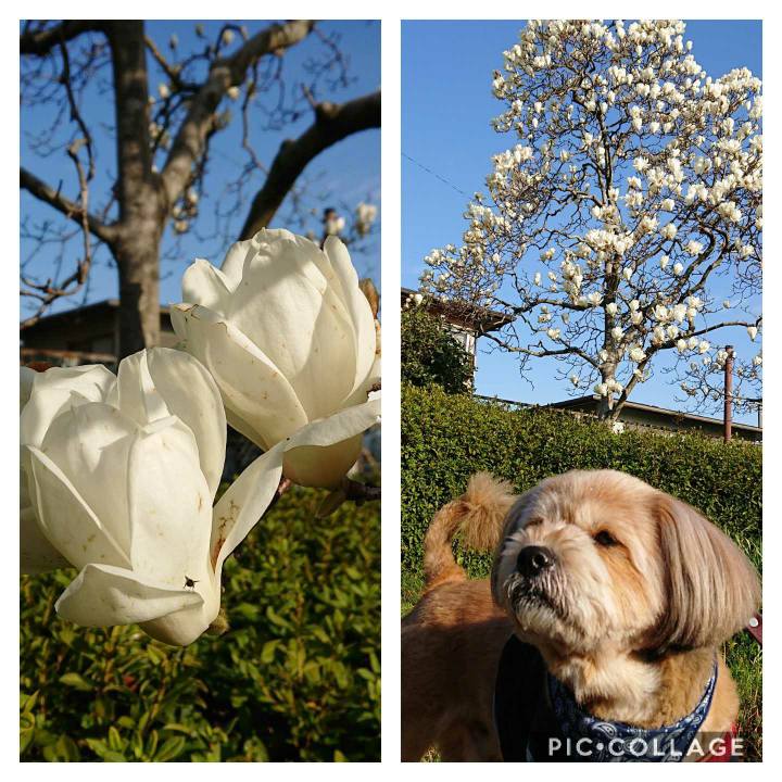 7f77e972 6fd5 41cb a8fd b2a18e14c99b 1614991700583