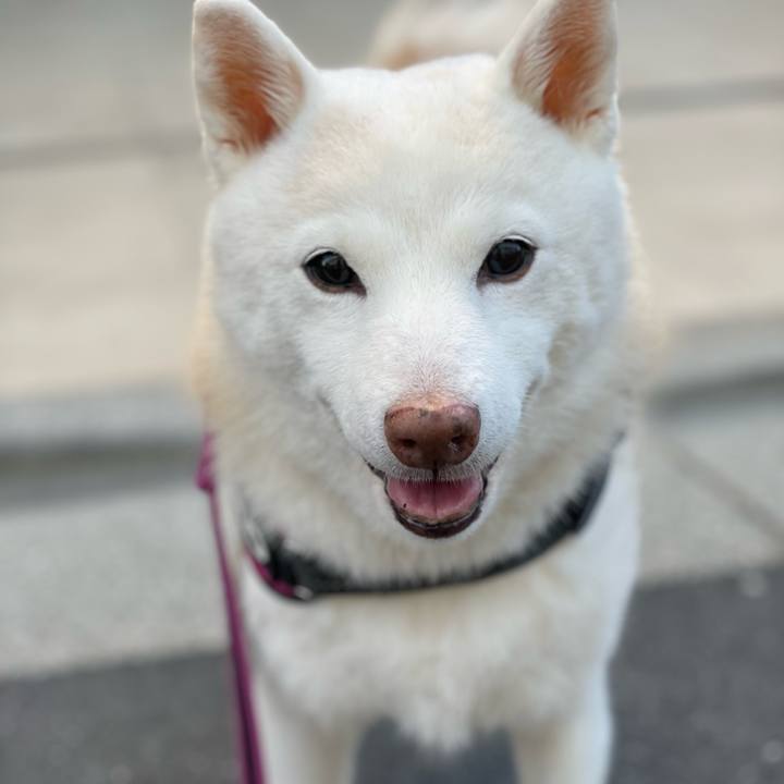 7f781c0c 73da 4895 b5f1 6e6b2a6aabc1 1756248534438