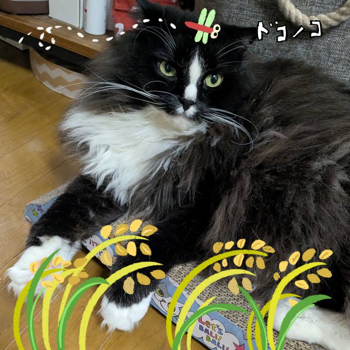 7f786622 3541 4b24 b2a8 cde0abee9989 1761350238662