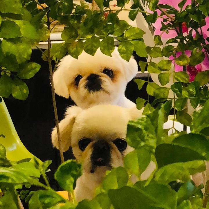 7f787fce 3cfb 478d b618 1d05559cfbc6 1628499957805