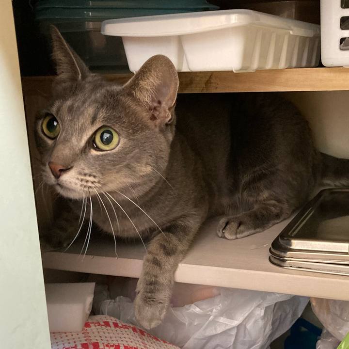 7f7888c1 2c96 4f7a a5c9 108f7854e1d0 1641006852292