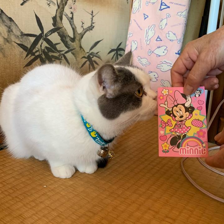 7f78990e d4f0 4259 83a0 b49ff31baf00 1641264986257