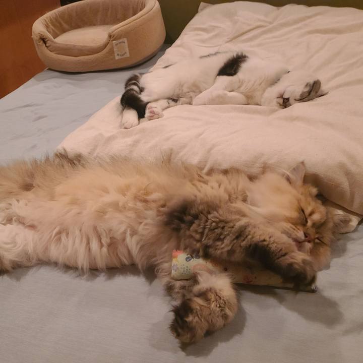 7f78f3da 27d3 4af3 bcb4 e12bf35d9d12 1650809376692