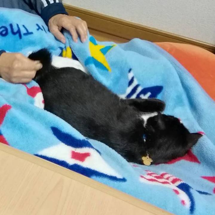 7f791275 50e3 4d5a a308 90cc4522ac75 1577368290322