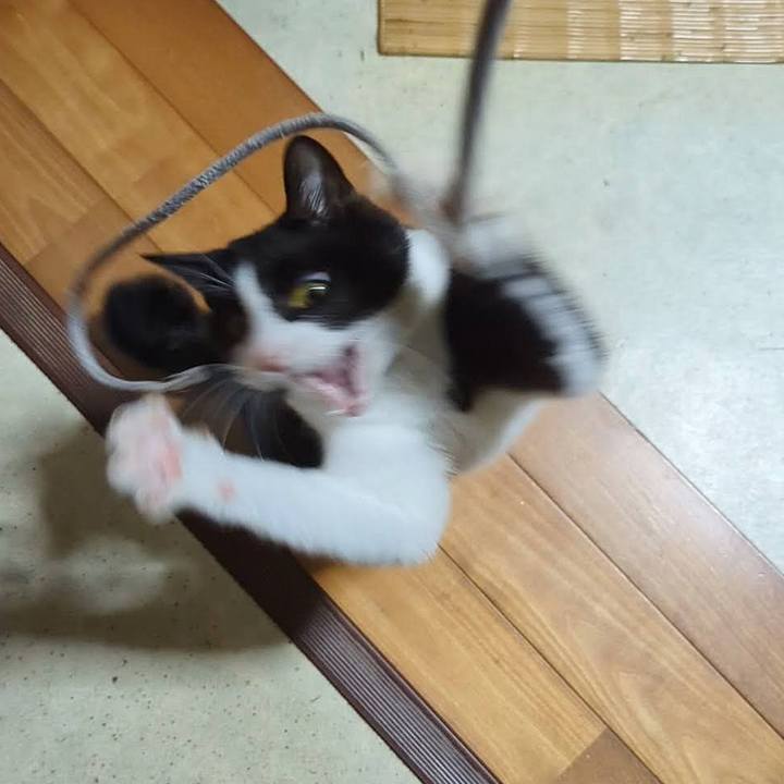 7f791552 8171 4987 84d8 6073a5c54324 1729057667071