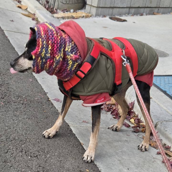 7f794e10 59f7 4b17 92e1 3f6cdc90f601 1764203079728