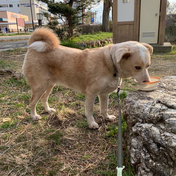 7f7954ea fd65 48c3 a232 f2f7cca3f5c8 1551570535656