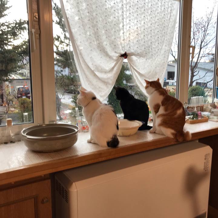 7f7969c4 22f1 460f 9386 0be65719ed1f 1572902928898