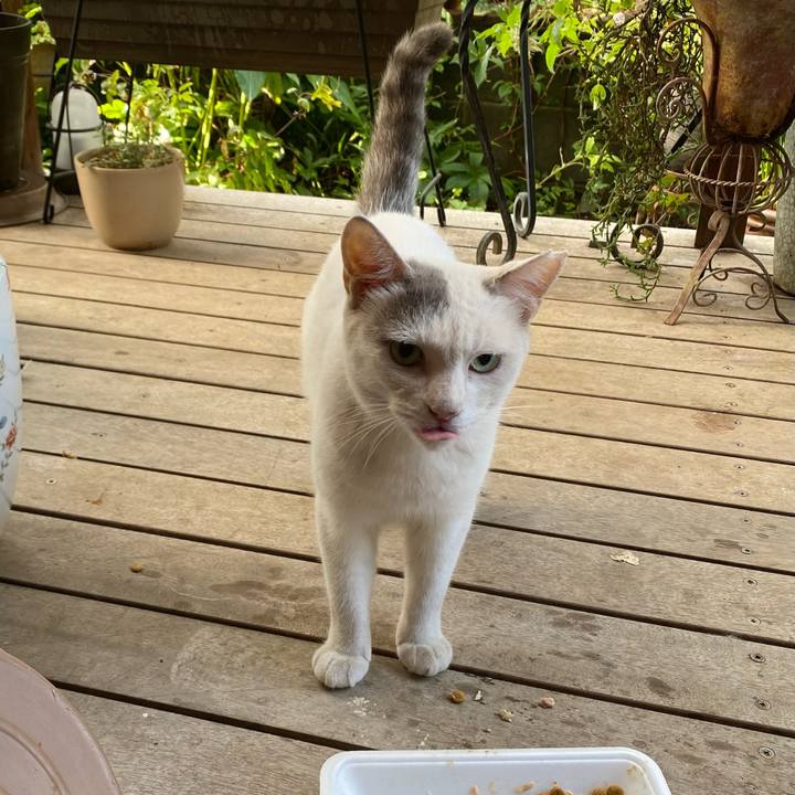 7f79746f b813 4489 a4c1 d2355a781c5f 1660342932801