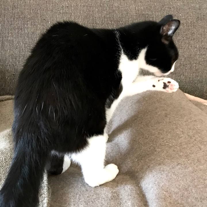 7f79794d 70a6 4a6b ac1c 0e1e38bed5b3 1516633931587