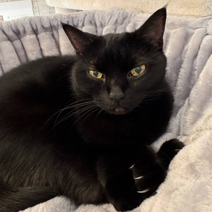 7f79b6b8 78e4 4a46 9e43 9e80f09e756d 1761623566044