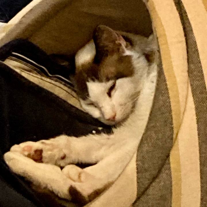 7f79c700 ea24 4555 a12d dc735ded8b0f 1677675354782