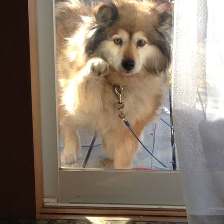 7f79f640 a808 4ff4 b443 b2d1b1165c56 1620814322450