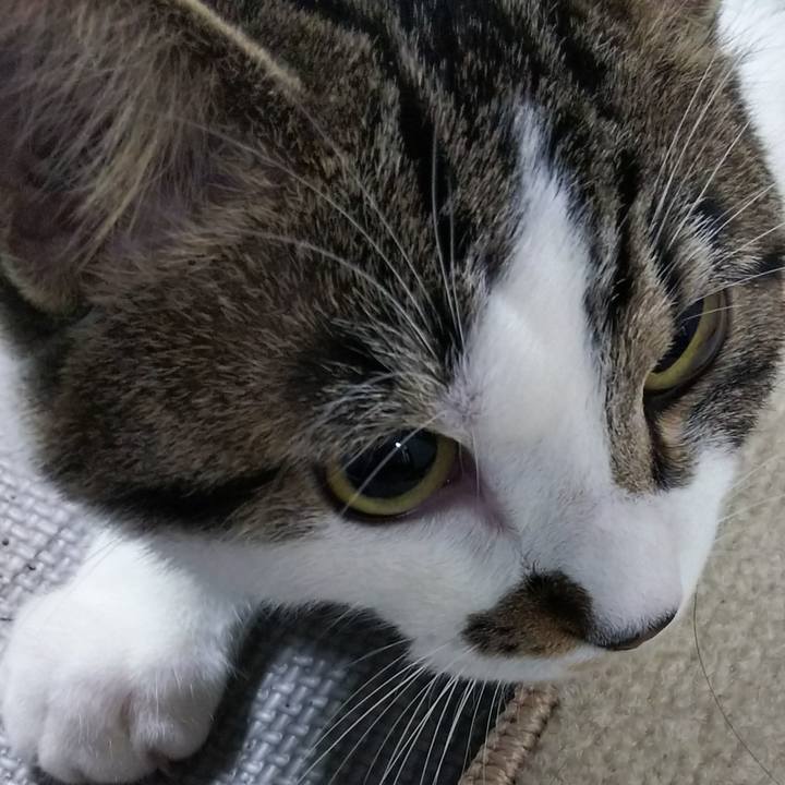 7f7a1042 6ef2 4fcf 8a73 4c563d0b6d7b 1620647373355