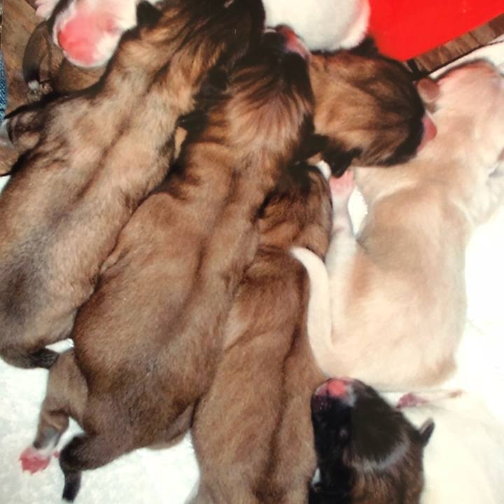 7f7a120b 1886 4728 968f a02222adc56b 1530860876350