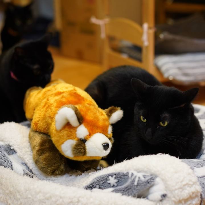 7f7a4760 6382 457e 9ce3 b574116032d3 1638705238960