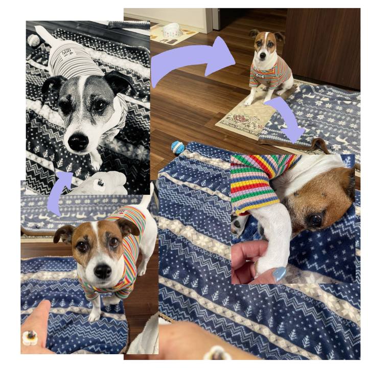 7f7a9834 f430 4805 9771 5fd7f0bf2350 1738200697725