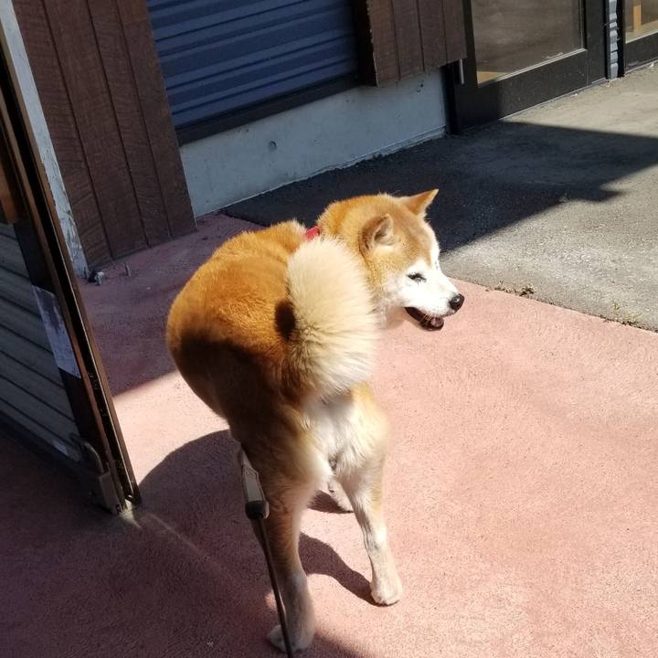 7f7ab1ca 2234 48c4 8e37 4a946656d582 1748391467286