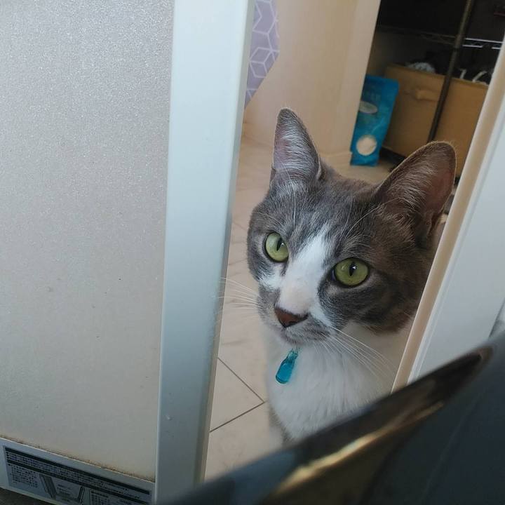 7f7ad9bf 8fd1 42d6 9fec 45952b62b7fd 1618995570003