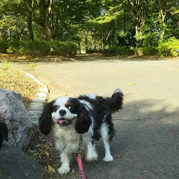 7f7af04d 7c31 4d14 8cc9 404288164459 1534635315238