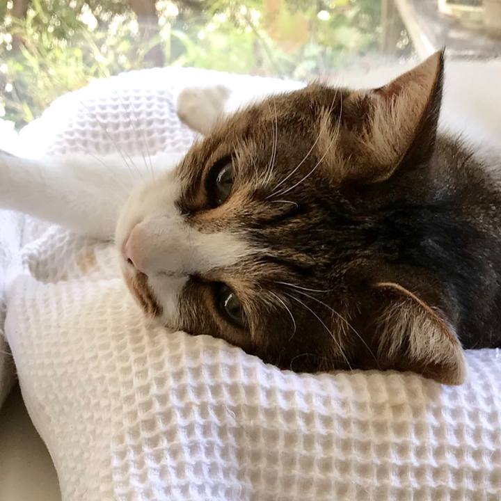 7f7b315e 6958 431f b844 98e0d05e99ec 1569462081375