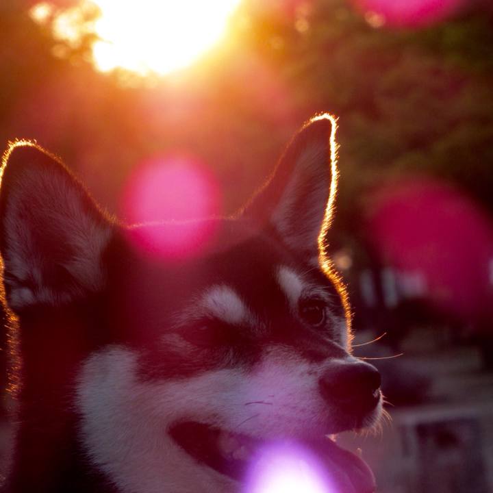 7f7b6087 4b58 41fa b12a 30a84ad8d742 1565738335691