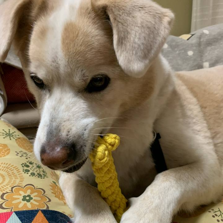 7f7b95ec 0a30 4d80 9d81 c1165fdc13bc 1672561386994