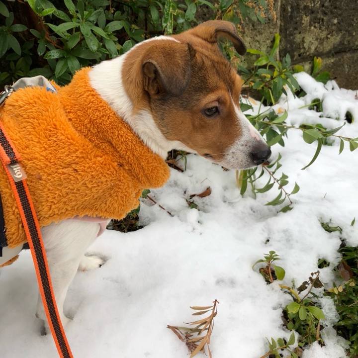 7f7bba70 1ef5 44e5 9ac9 c91d746c8aa4 1707310169875