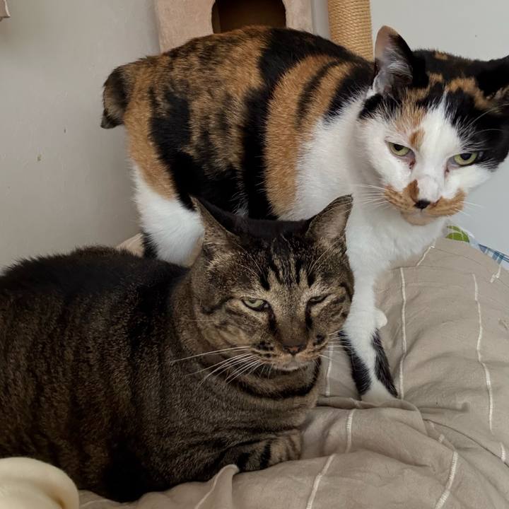 7f7bd899 83f5 4bed 99e4 a1a26f6ce54d 1760934368670