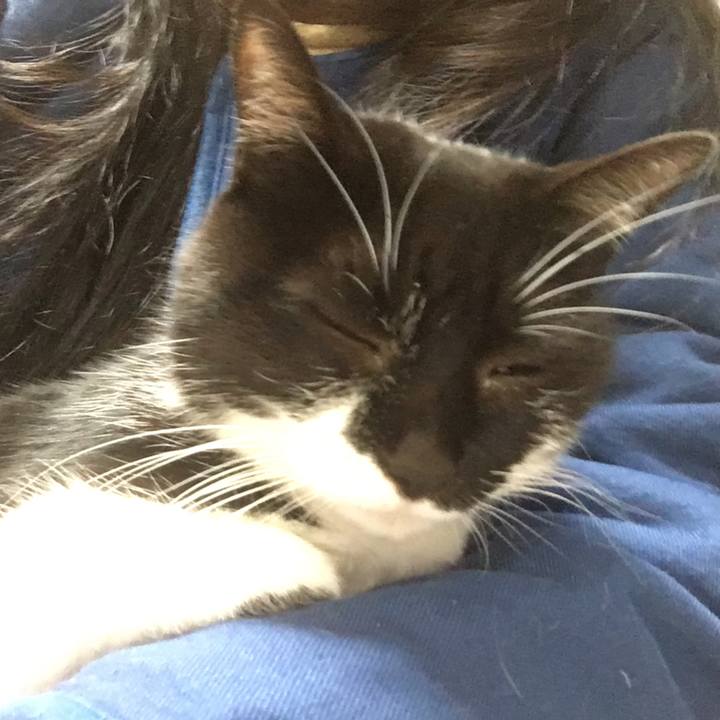 7f7be1f0 b3d1 42f4 932b f0efda9fc862 1516629641565