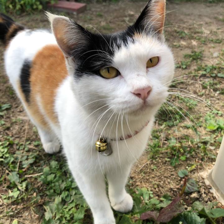 7f7c2f0c 826c 40f1 bdb9 c5ebdfed359d 1606005760703