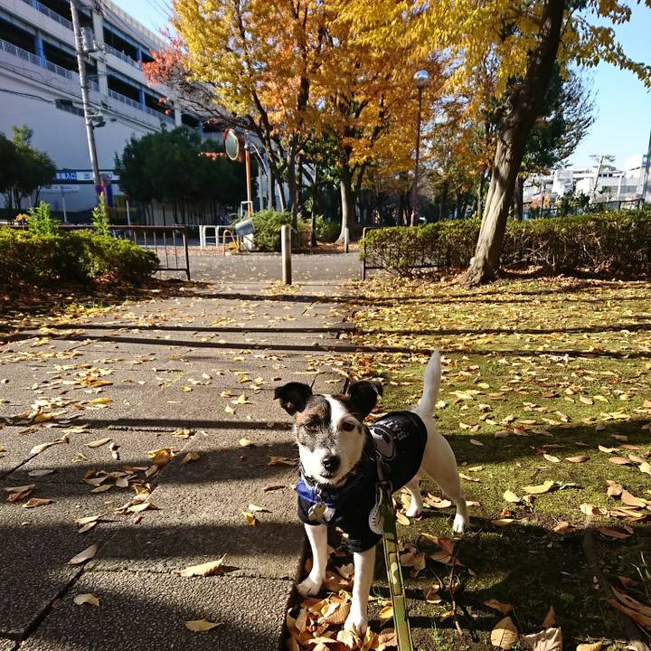 7f7c55a5 23da 47cf a01d 7b5aaa68b6c1 1511916709977