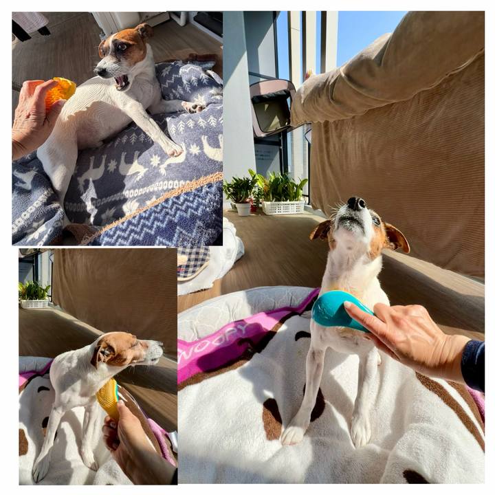 7f7c5945 d0b2 439a afe4 8600a36b71a3 1774709634493