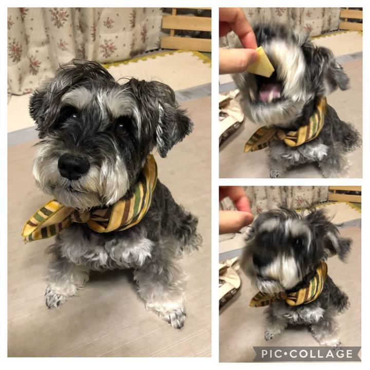 7f7c744d f578 45ea 83a8 3fc14313ad1f 1659103797081