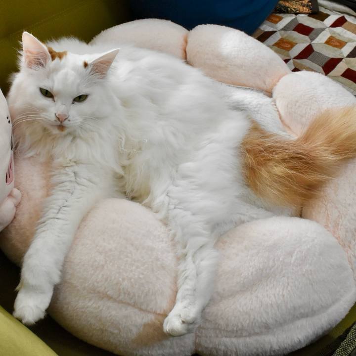 7f7c7792 0950 47e9 bf39 fe9725846447 1774672915152