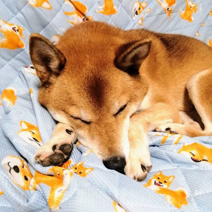 7f7c9347 15ae 4b30 91a6 c5b5655e087a 1601731540282