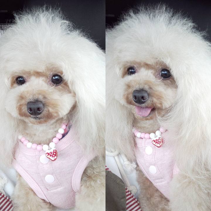 7f7cbc93 593f 4ade af18 1a2ab98b5473 1584883963662