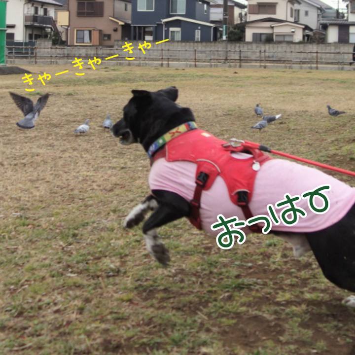 7f7cceec 6fd3 4f6d 92e4 9fdccb23bec8 1677116888242