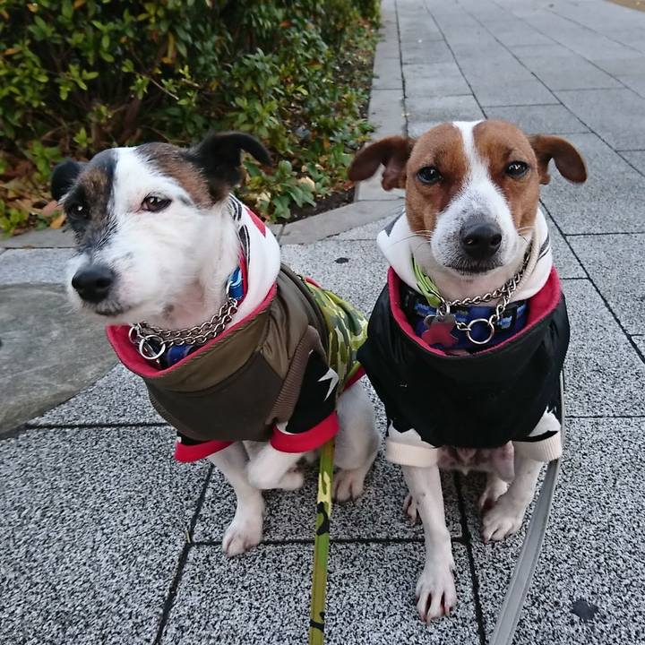 7f7cdaf2 e7e3 4aa7 baa5 103f7f6f4e9b 1547590852491