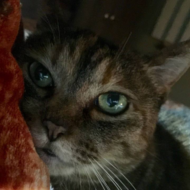 7f7ce9cb c8b2 43f5 be15 06b5b5d5709b 1521112451089