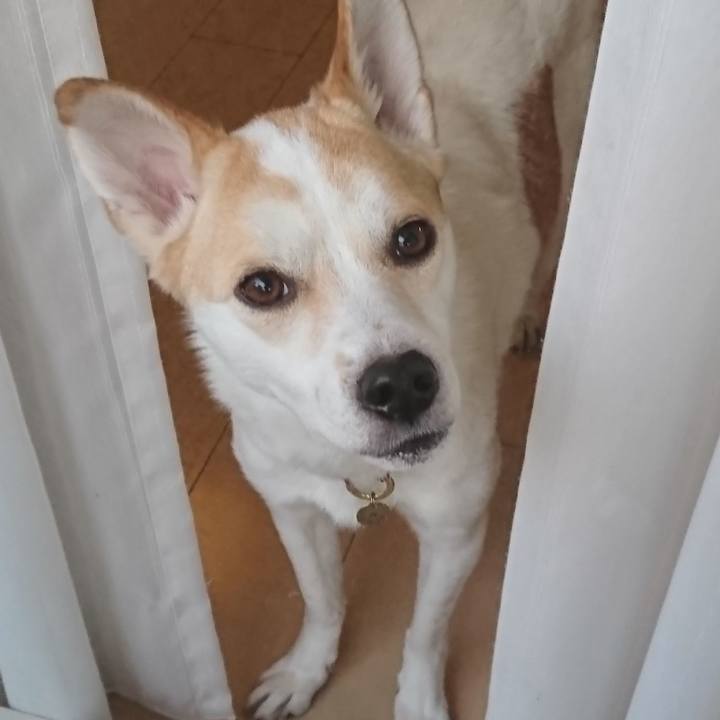 7f7cf77d 95b4 4b06 822d 852da4eb97e5 1552556967926