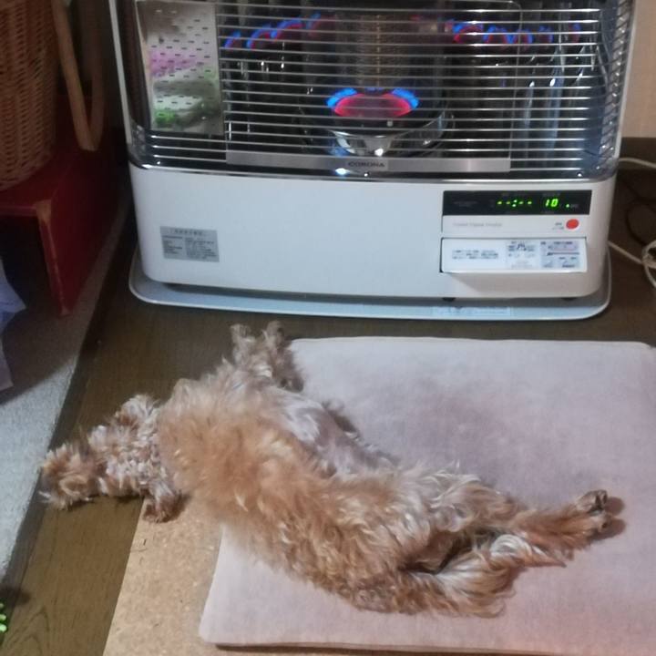 7f7cffa0 ca23 406e 8fa8 77cad26441c2 1574026337315